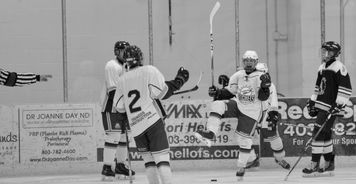 米兰体育(中国大陆)官网-世界冰球：加拿大队霸气夺冠，金牌大满贯！，冰球加拿大人队